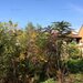 Teren zona Mosilor-Stefan Cel Mare